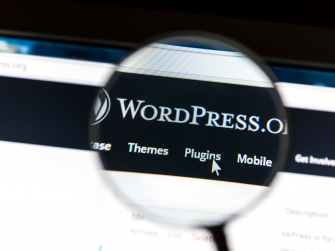 Lupe vergrößert Wordpress Plugin