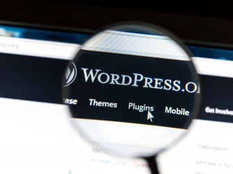 Logo der Software WordPress