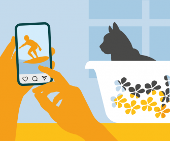 Eine Katze sitzt im leeren Wäschekorb, während jemand auf dem Handy Urlaubsfotos anschaut.